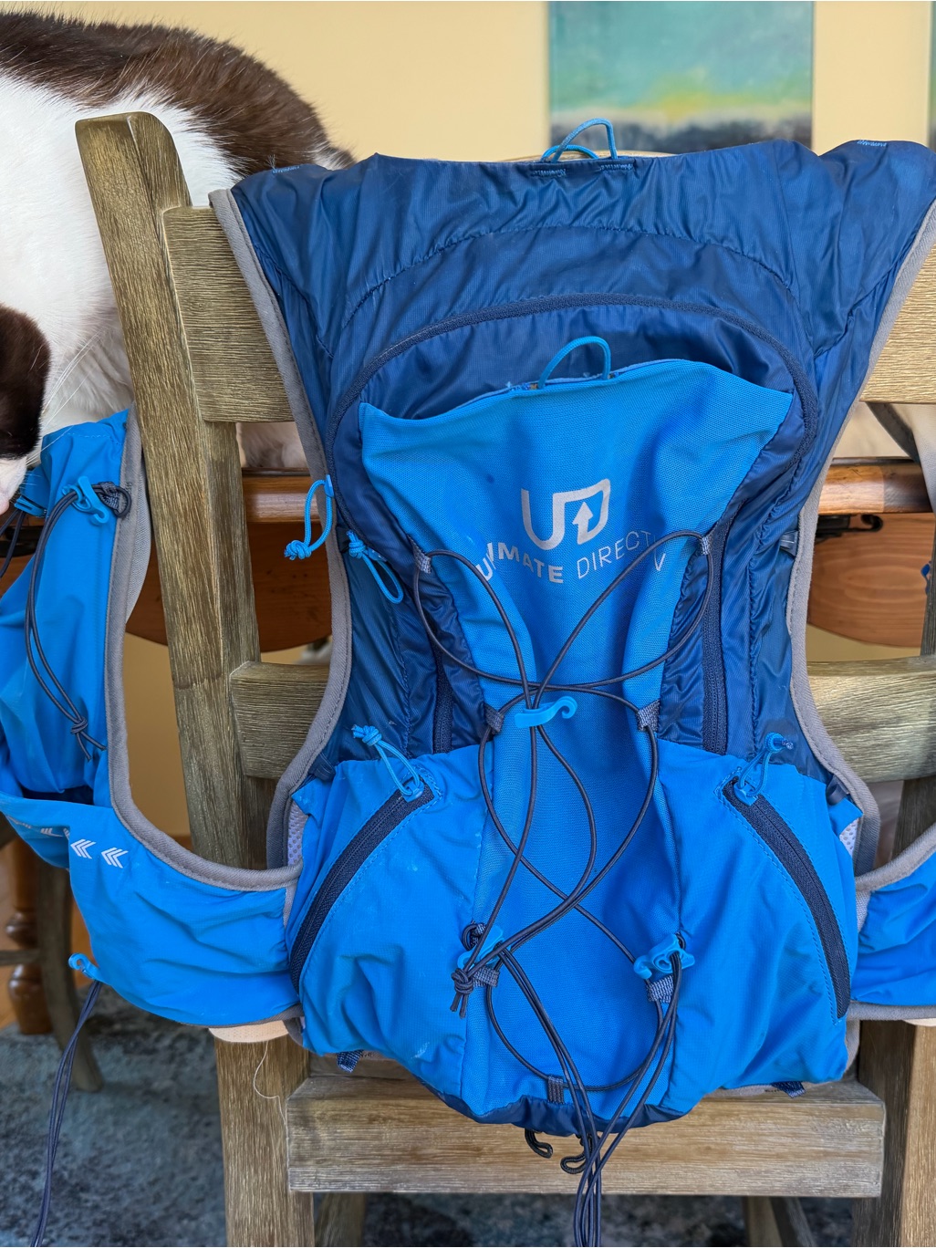 Ultimate Direction Ultra Running Vest 6.0 - Hydration, Blue, Unisex Medium